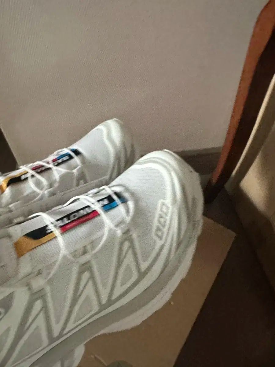SALOMON サロモン