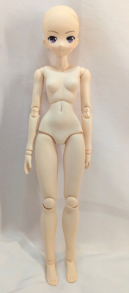 azone international 羽瀬川小鳩 通常版 ピュアニーモ キャラクターシリーズ No.060 僕は友達が少ない 店舗受取可 ピュアニーモキャラクターシリーズ 僕は友達が少ない 羽瀬川小鳩 TBS