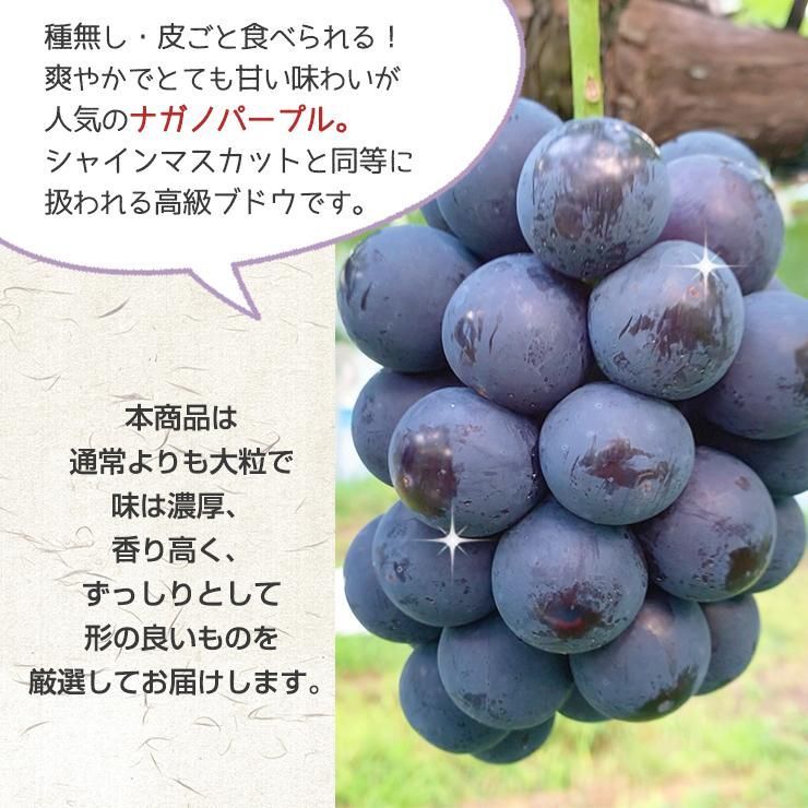 予約】長野県産 秀品 大粒 シャインマスカット ナガノパープル