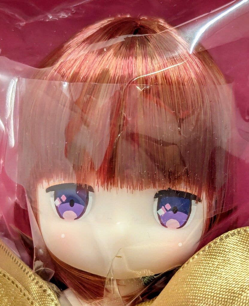 DOLCHU chuchu doll YUME ロイヤルチェックガール Dollybird WWW_STEELWINDOWSANDDOORS_COM