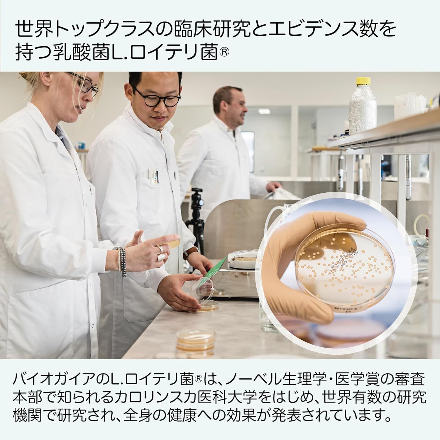 ミツワ(三輪)ジッパー L ビンテージ 捗り 復刻 レーヨン100 ミツワ(三輪)ジッパー L ビンテージ 捗り 復刻 レーヨン100