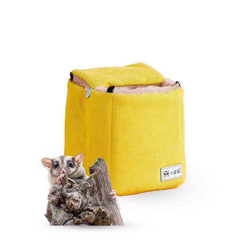 フェニックス 2020技術選モデル 美品 フェニックス 2020技術選モデル 美品