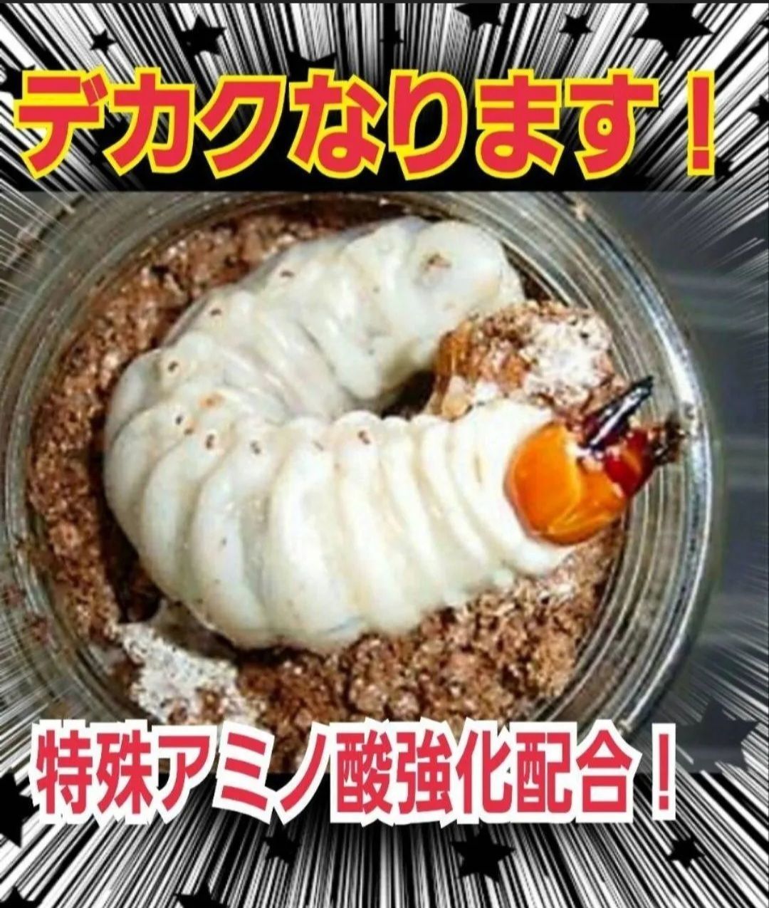 特選