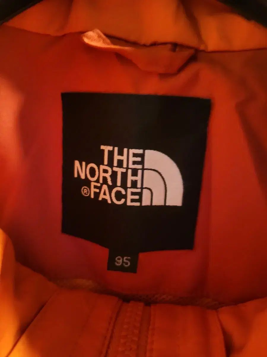 ノース フェイス