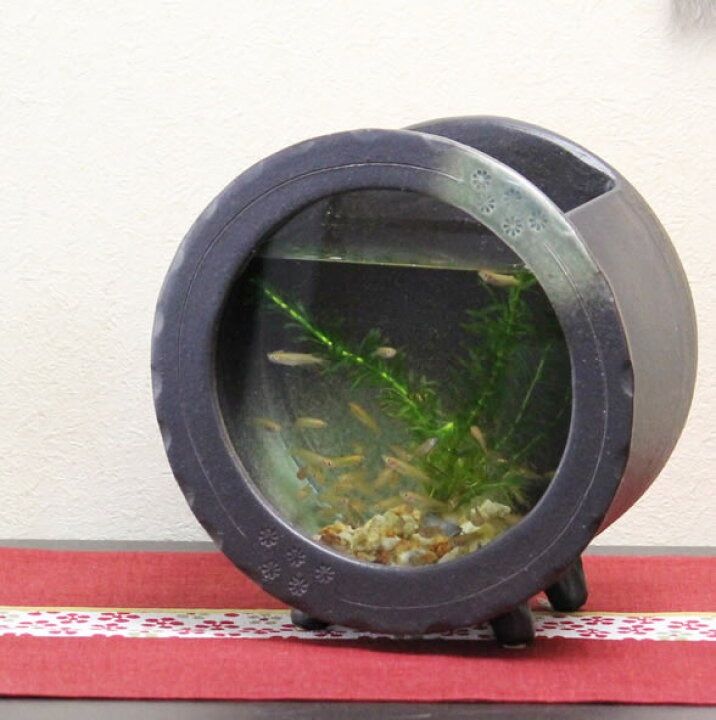 信楽焼