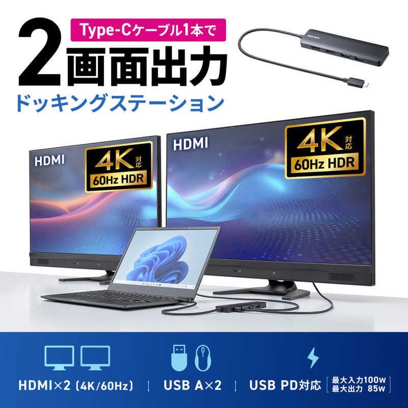 サンワサプライ USB Type-C ドッキングステーション USB-5TCHHPS22BK