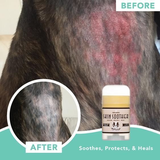 natural DOG COMPANY  スキンバーム 59mlスティック