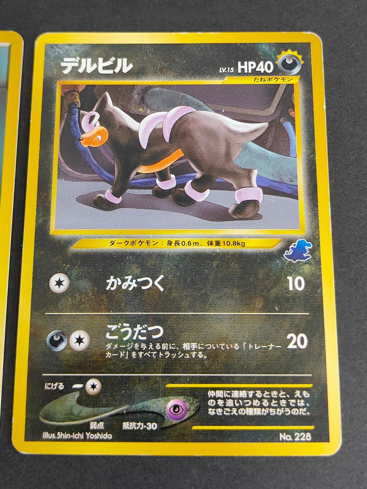 新規購入 aca294 ポケモンカード 旧裏面 イントロパック NEO ワニノコ ポケモンカードゲーム