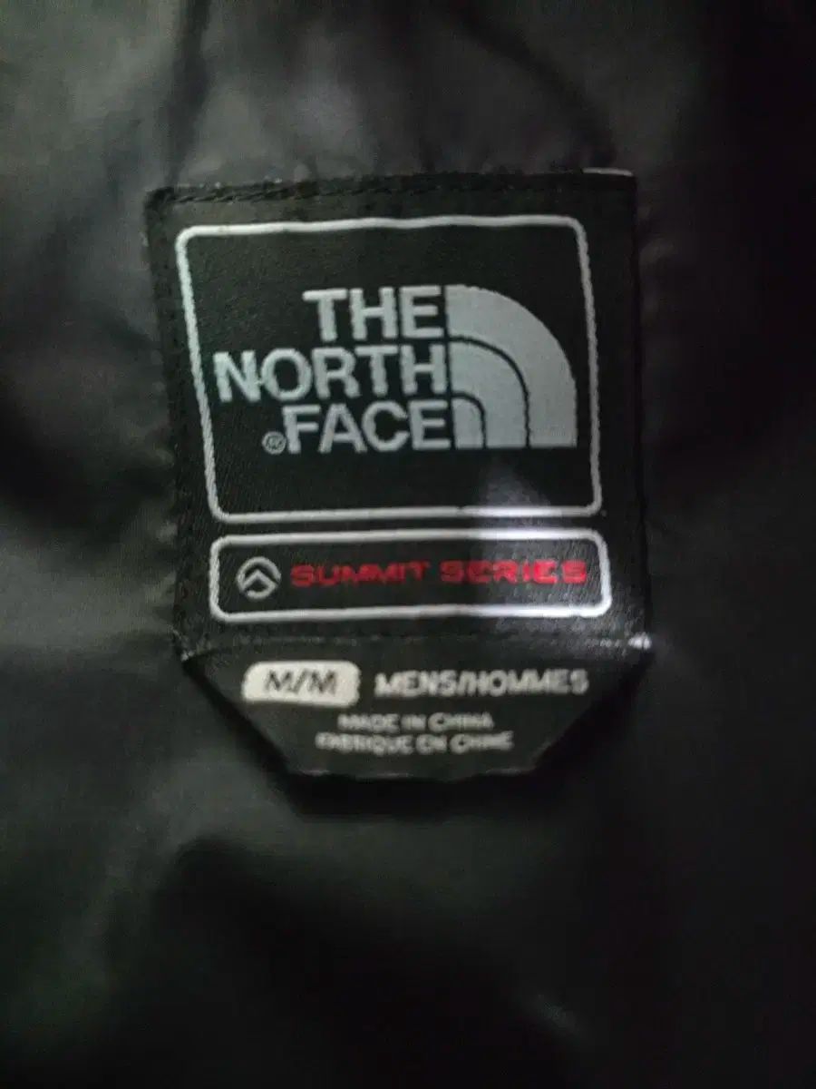 FACE ザノースフェイス