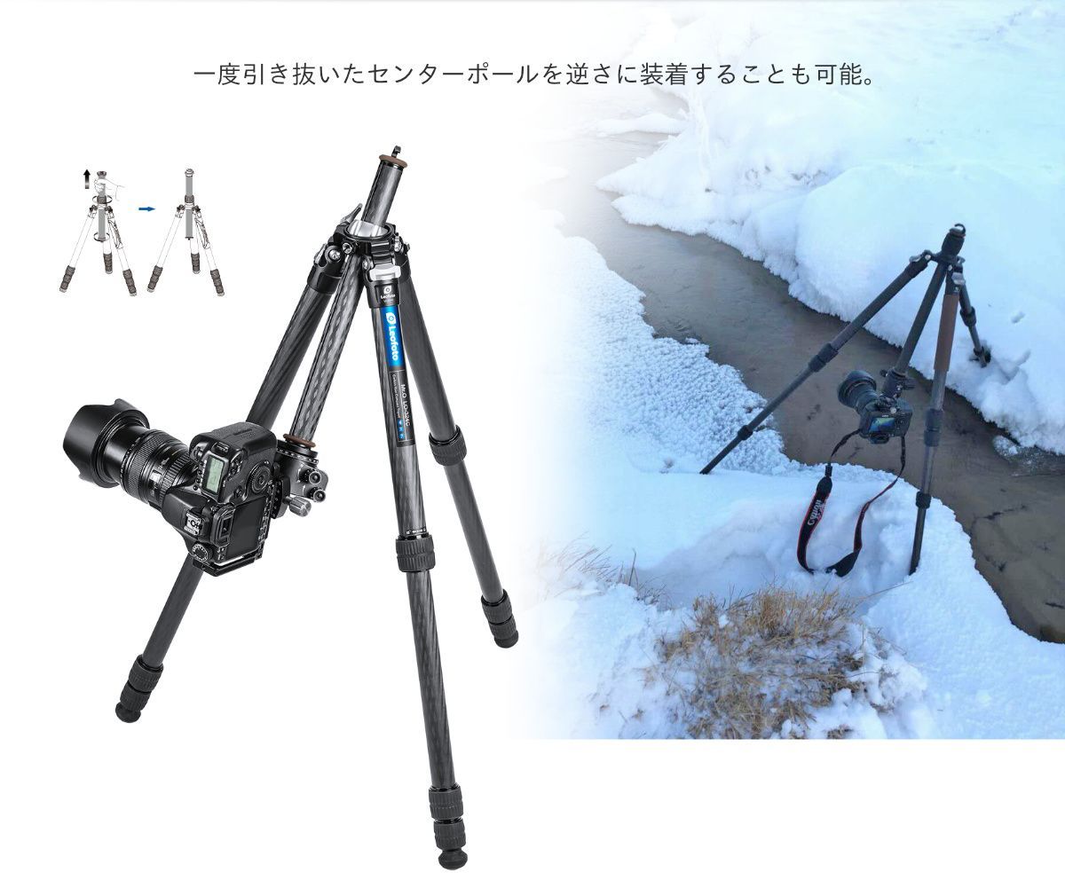 レオフォト