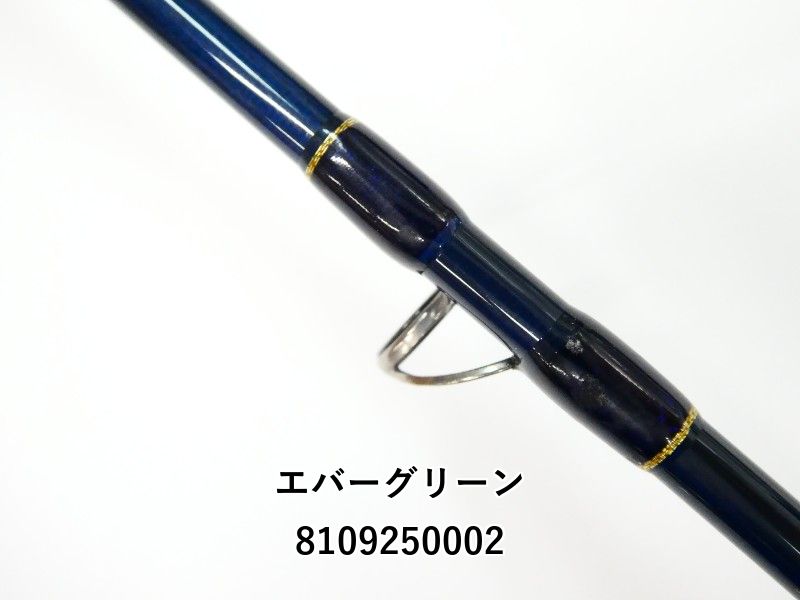 エバーグリーン ポセイドン ハイピッチジャーカー 504 600 エバーグリーンポセイドンハイピッチジャーカー504/600セット