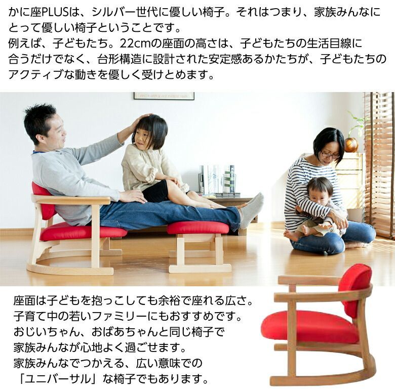 かに座PLUS【ロータイプ】膝への負担が少ない座椅子 椅子 チェア 高齢