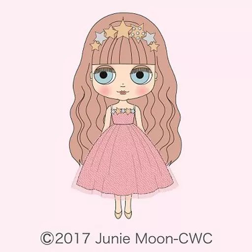 ミディブライス ・バブリーブリス・中古 ミディブライス ブライス バブリーブリス カスタム - 良盤ディスク