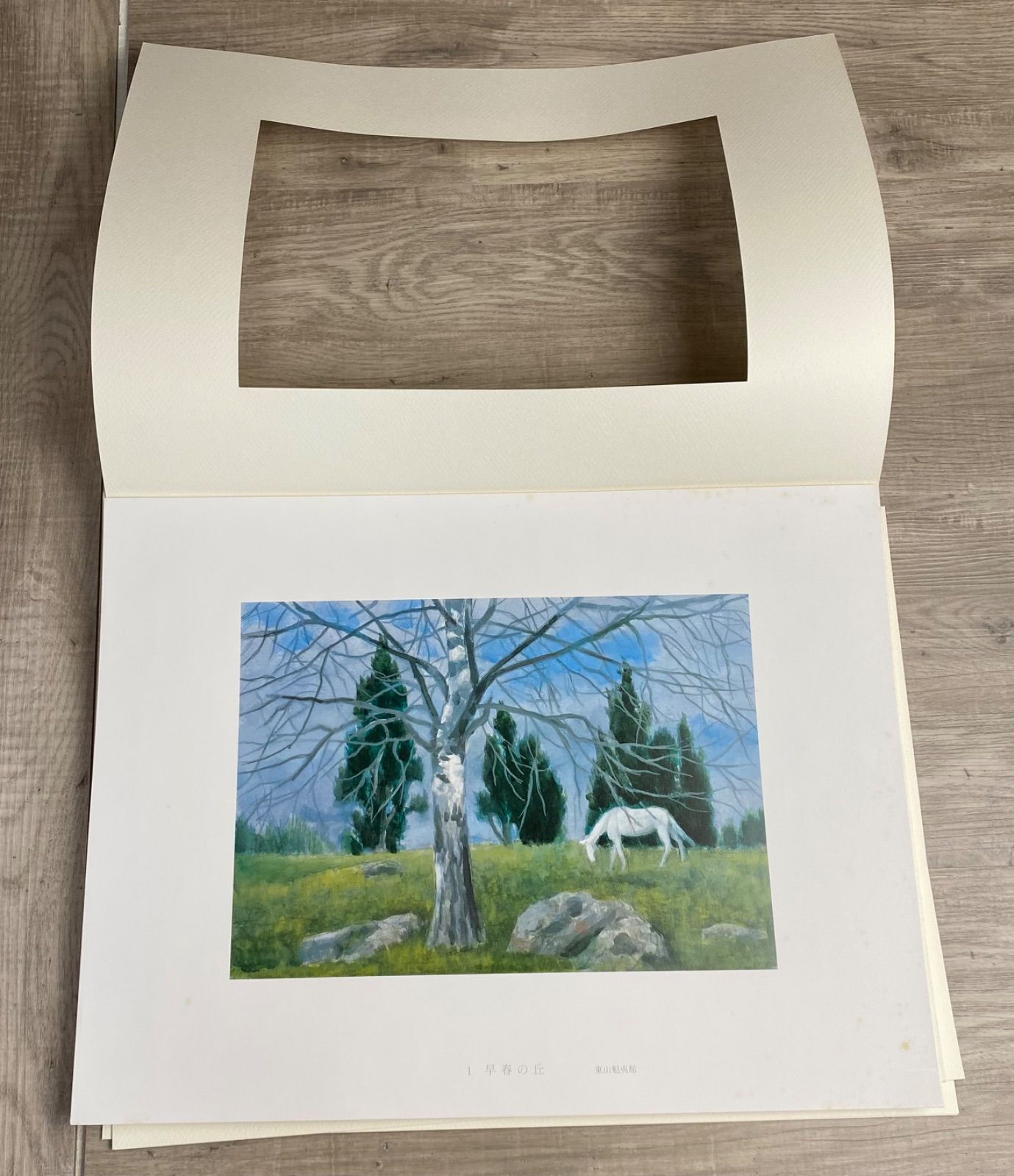 限定品】1990年 東山魁夷 画集 「白馬幻想」 全18図 日本経済