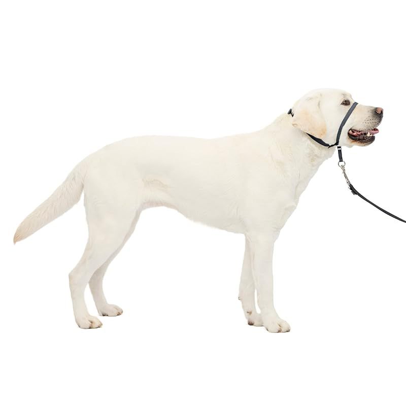 PetSafe Gentle Leader 引っ張り防止犬用ヘッド - 引っ張る究 のソリューション - 犬の引っ張りをリダイレクトして散歩を楽に - コントロールの回復に役立ちます - L チャコール 2XL