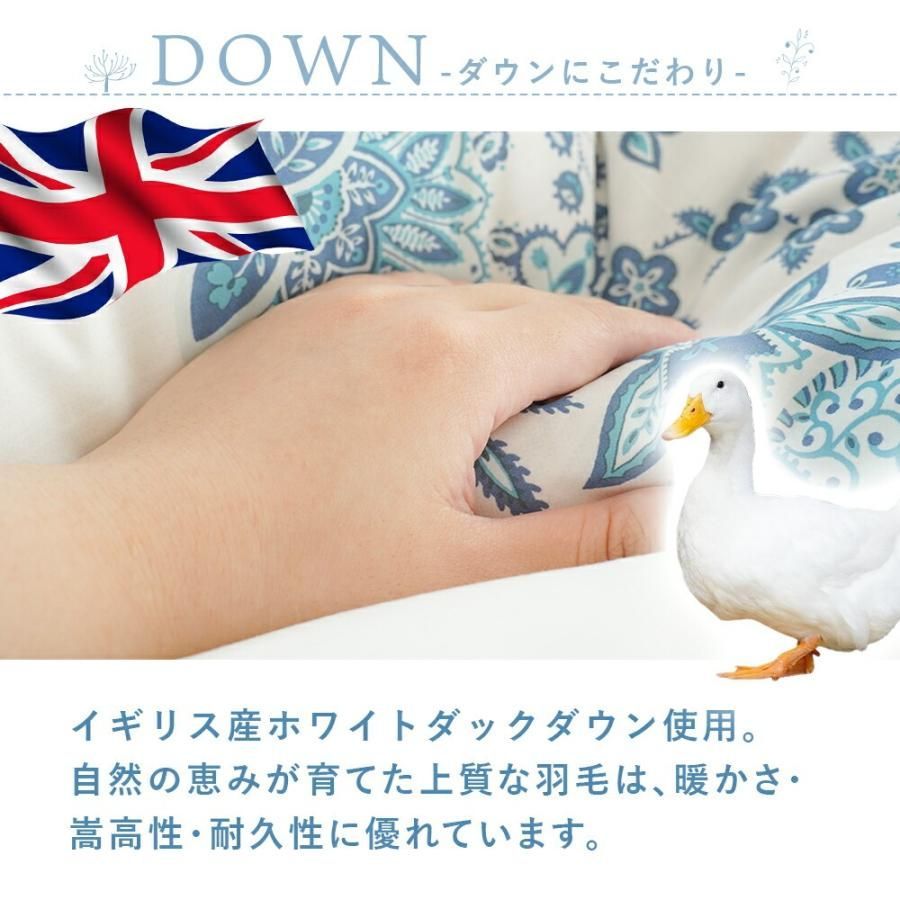 イギリス産 ホワイトダックダウン