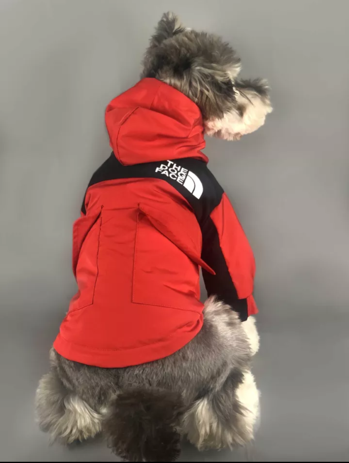 メルカリshops レッド ドッグウェア犬 ダウンジャケット おしゃれ The Dog Face