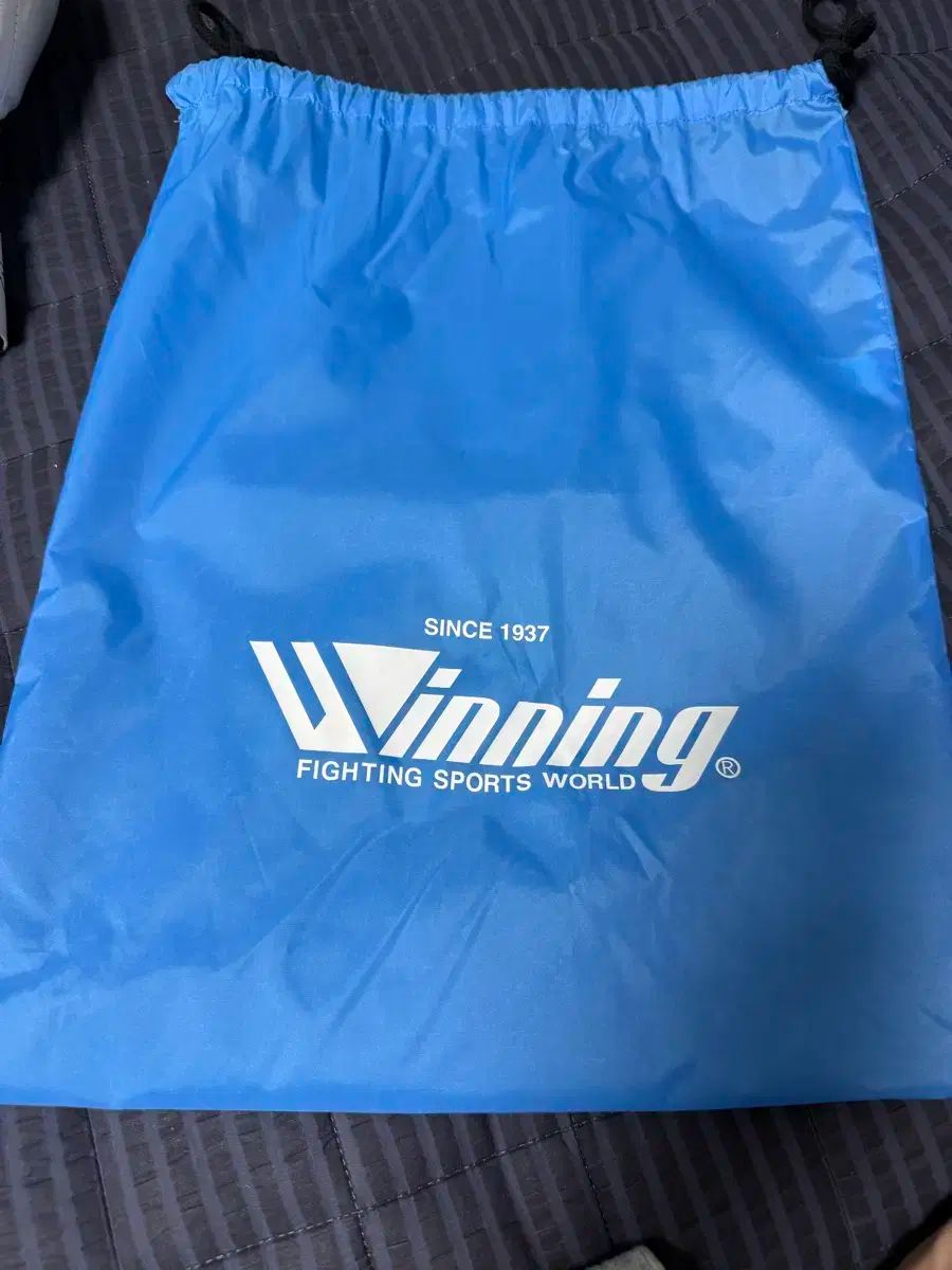 Winning ボクシンググローブ MS-600 16 oz 白 MS-600 プロフェッショナルタイプ16オンスグローブ(ひも式) / センター