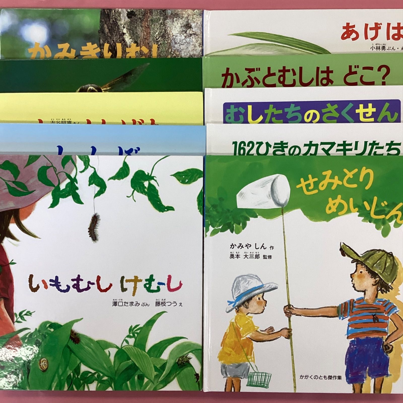 スーパーワイドゲーム　絵本　かがくのとも 傑作選 10冊セット 自然 スーパーワイドゲーム 絵本 かがくのとも 傑作選 10冊セット