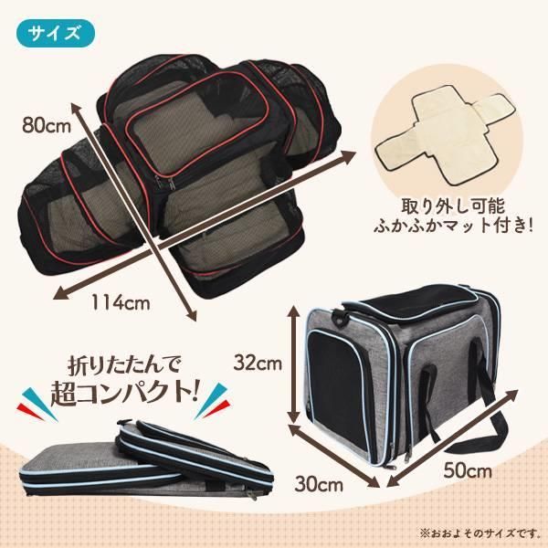 旅行 帰省