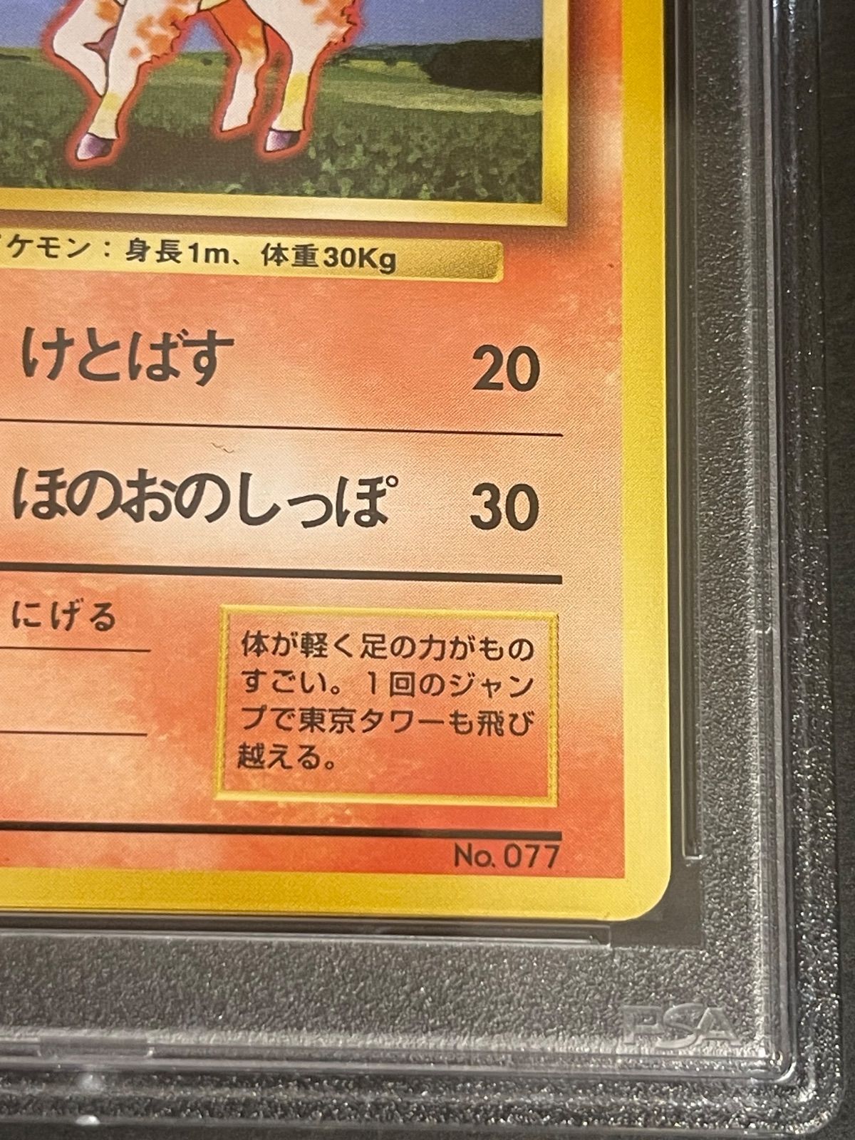 ポケモンカード 1996年 ポニータ マークなし 初版 旧裏 PSA9鑑定品