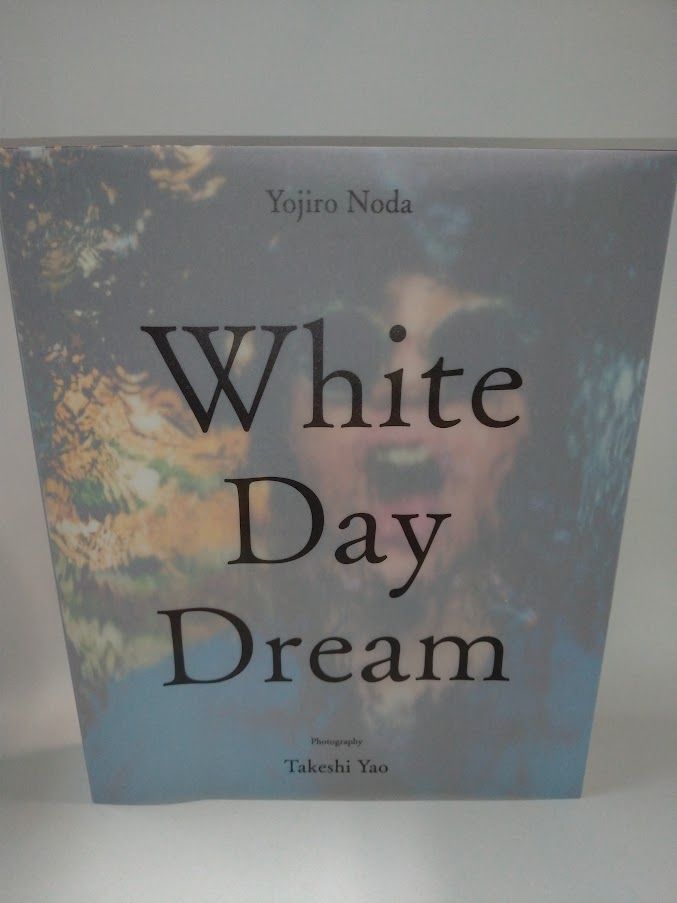 White Day Dream Noda Yojiro 状態：非良