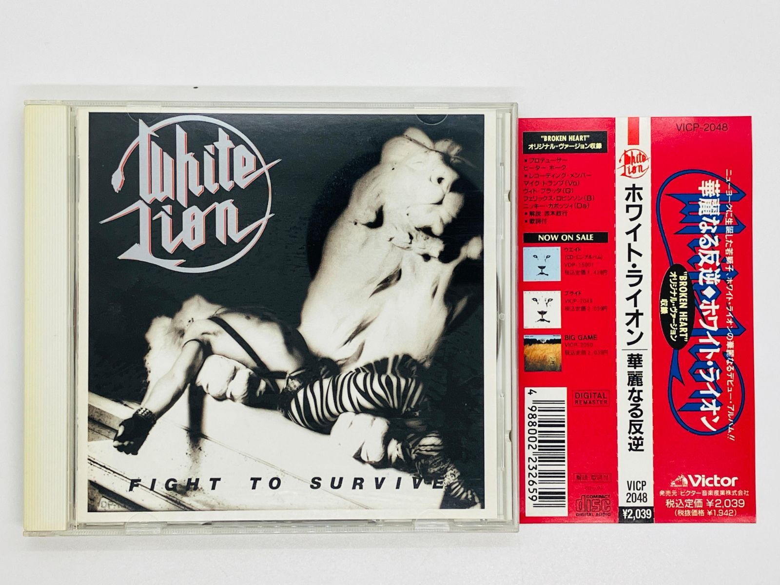 CD White Lion ホワイト ライオン / Fight To Survive 華麗なる反逆 / 帯付き 国内盤 廃盤 VICP-2048  Z58 - メルカリ