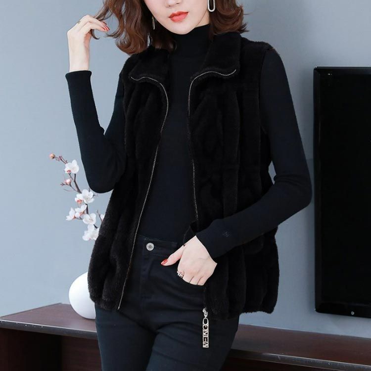 スタンドカラー 無地