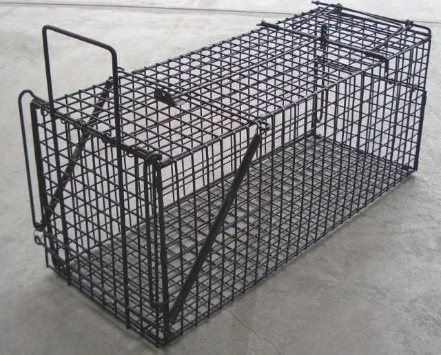 【小動物の保護・捕獲に大活躍！組み立て不要！限定1点のみ！】小動物キャッチャー  小  TA-24 人気・おすすめ｜売れ筋商品・話題商品におすすめ コスパ重視 安心配送 スピーディーにお届け