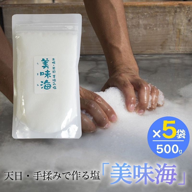 天日塩 美味海 500g 5袋セット うまみ 海工房 天日自然海塩 国産 塩 天然 高知県産 調味料