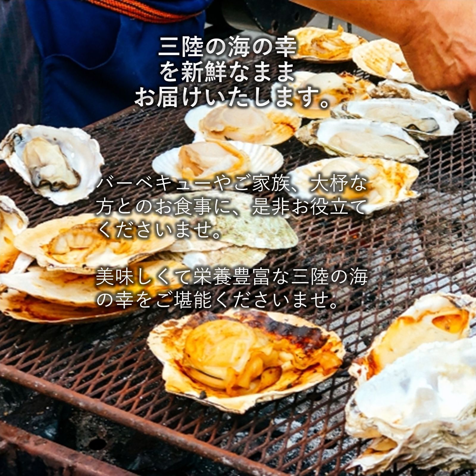 三陸産 ホタテ＆牡蠣セット 殻付きホタテ5枚 殻付き牡蠣1kg 三陸の肉厚ホタテと身入りの良い牡蠣 BBQにも最適！冷凍で旨味を閉じ込め日持ちも抜群！
