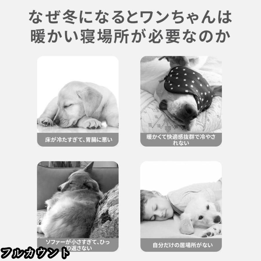 ドームハウス