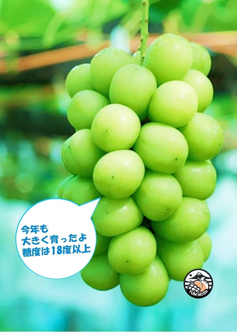 1.5kg 2〜3房入り