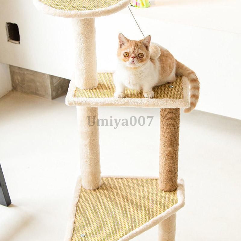 頑丈 ねこ