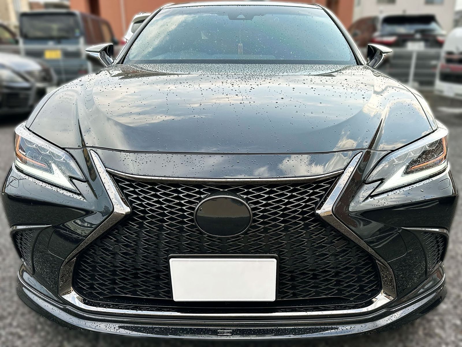 Tint+何度も貼れる エンブレム スモークフィルム(ブラックスモーク5