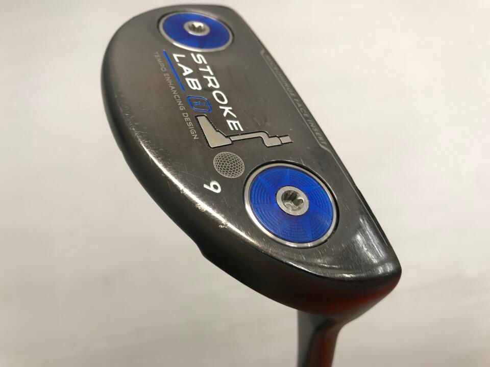 Pierre Guillaumブラジル工房製 Bernard Vn 4/4 【超人気ベルギー製