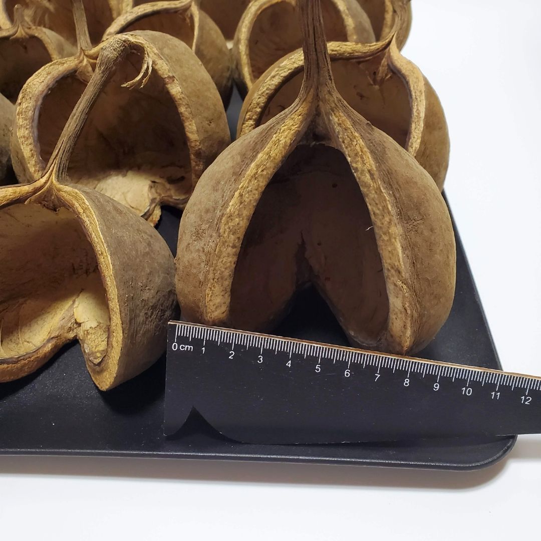 インテリア花材