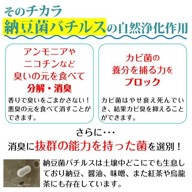 リフレッシュバイオ