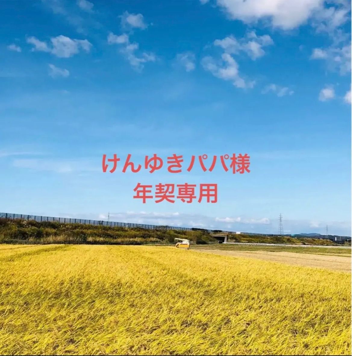 【けんゆきパパ様年契専用19〜21‼️】令和５年度新米あきたこまち、ひとめぼれ精米24Kg