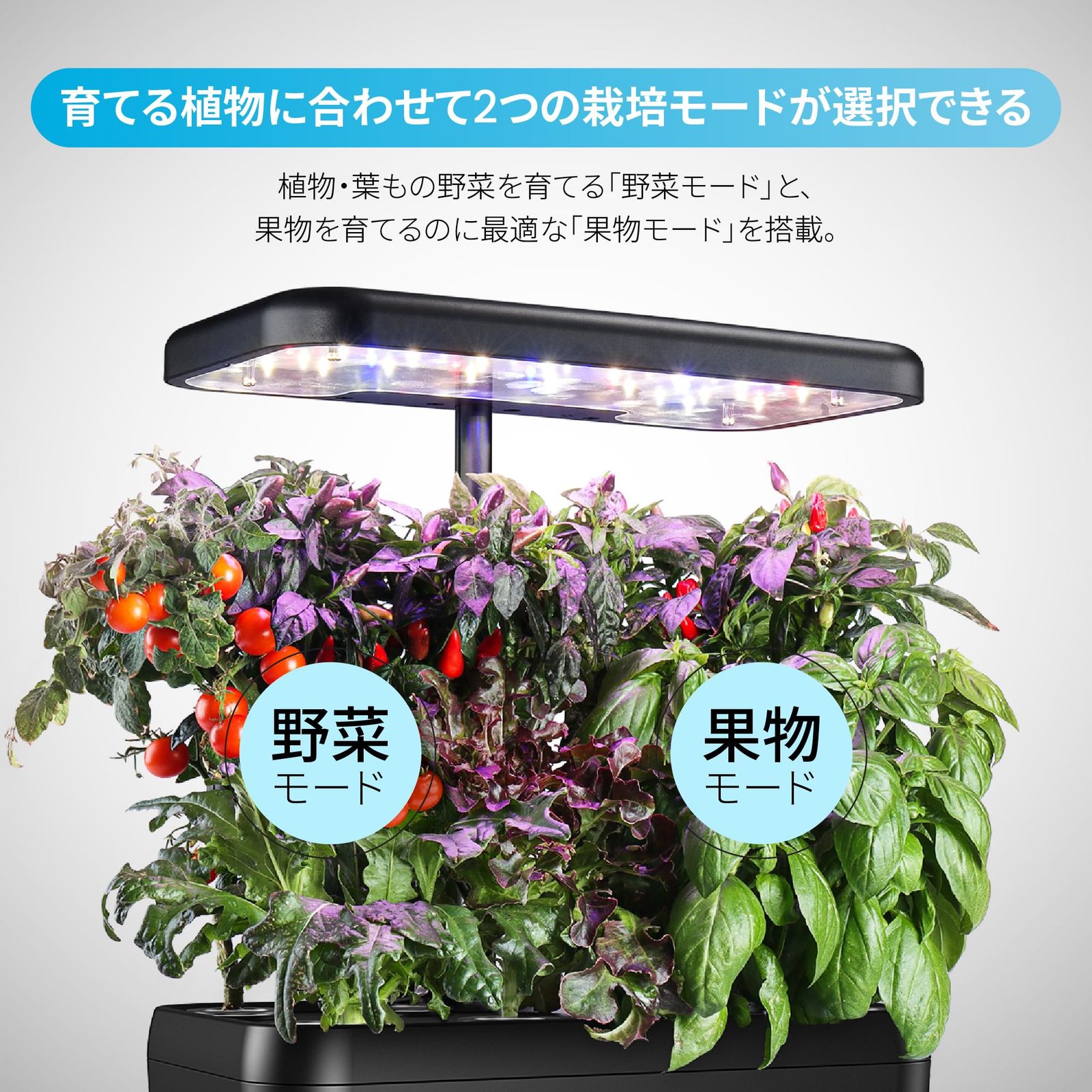 販売元がRENPHO JAPAN以外の商品は対象外です