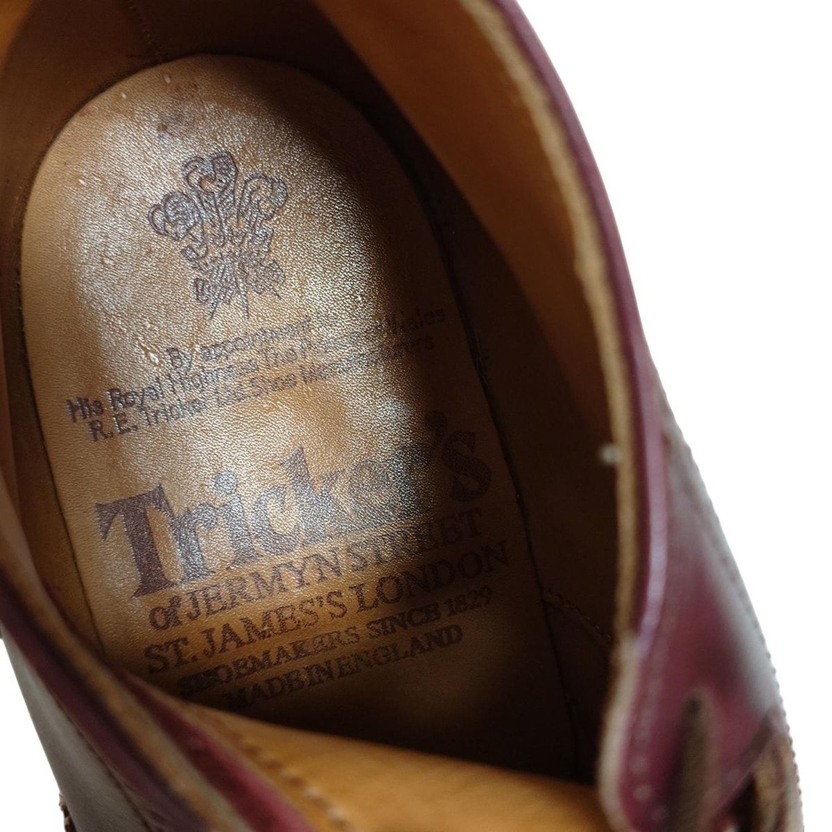 ウィングチップ