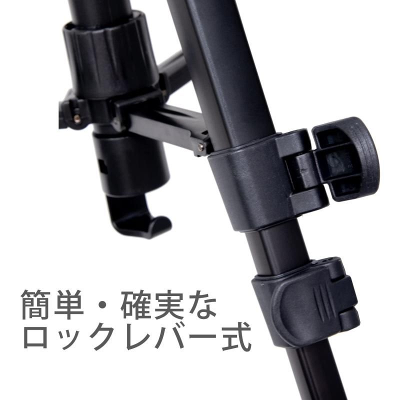 厳選‼️お買得‼️アガベ オリザバ 美斑苗 大苗 速達便 厳選‼️お