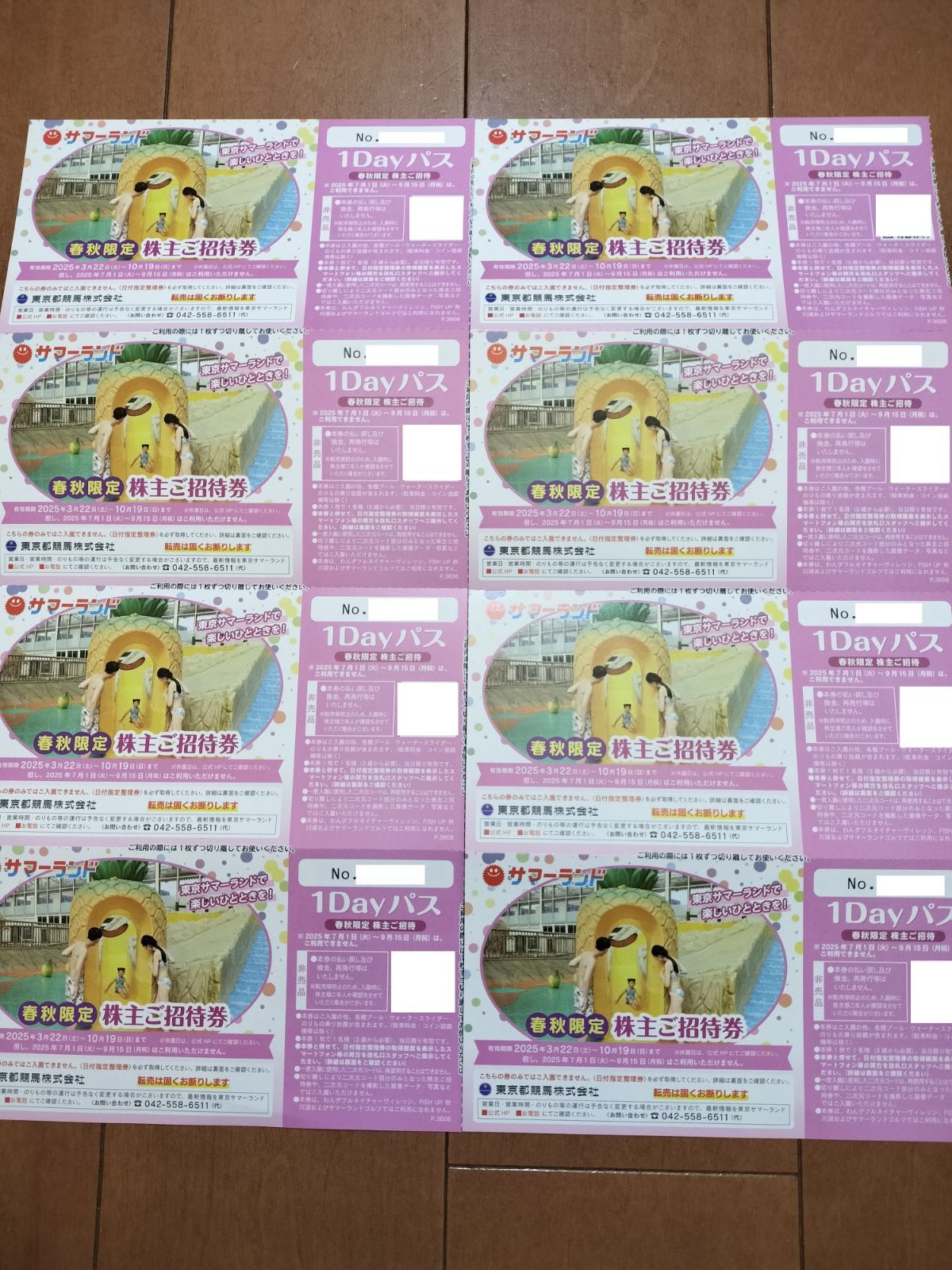 東京サマーランド　株主優待券　フリーパス　夏券　３枚　即発送！ サマーランド 株式優待券 3枚 1DAYパス チケット フリーパス 株主優待