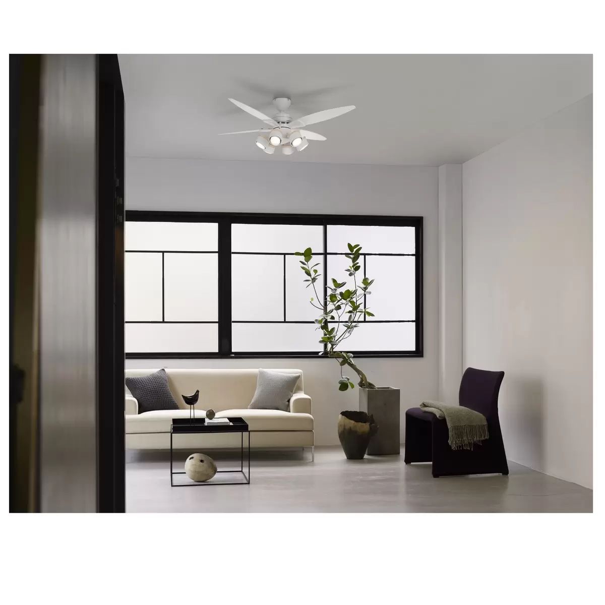 未使用品 大光電機 LEDシーリングファン ～10畳 4枚羽/6灯 ブラック 大光電機 LEDシーリングファン ～10畳 4枚羽 / 6灯 - メルカリ