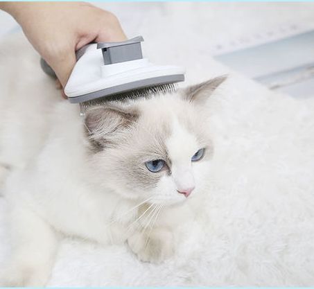 猫用櫛毛抜き櫛浮毛除去毛抜きクリーナーワンタッチ毛抜き犬用櫛針櫛ペット用品
