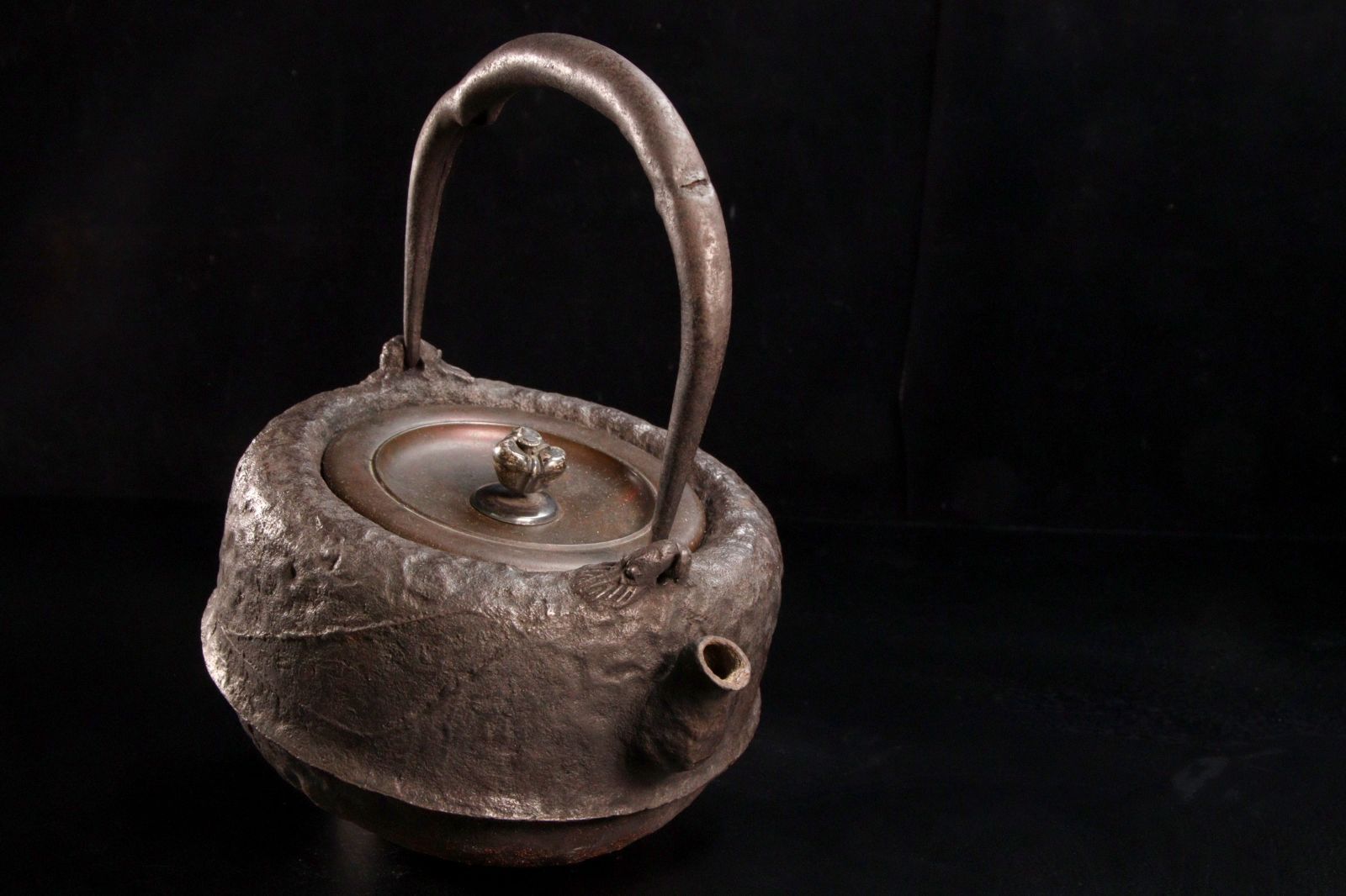 日本亀文堂 家戊日本琵琶湖在東 蟹水草鉄瓶 急須 霊芝摘 唐銅蓋 WWST069 日本亀文堂 家戊日本琵琶湖在東 蟹水草鉄瓶 急須 霊芝