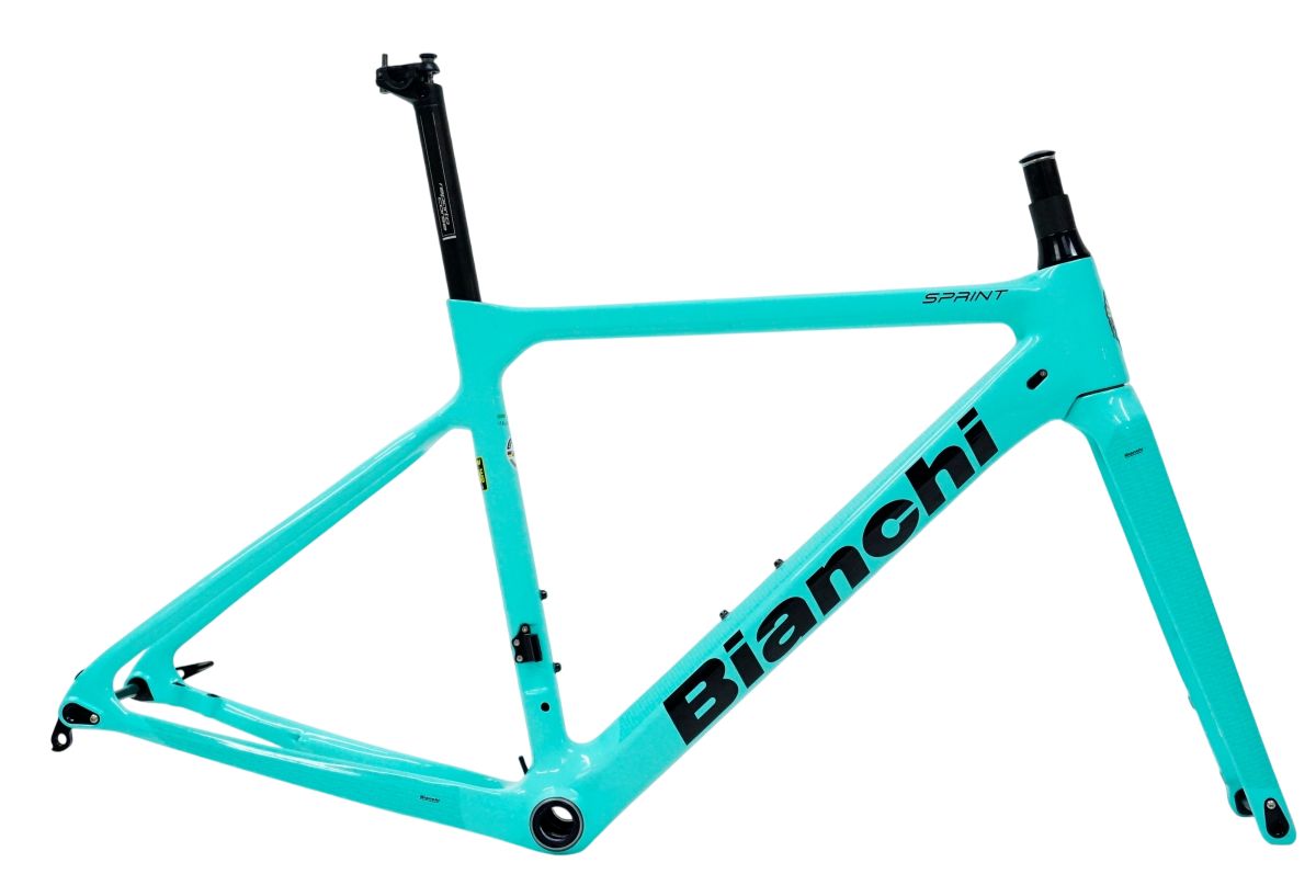 BIANCHI 「ビアンキ」 SPRINT DISC 2020年モデル フレームセット 