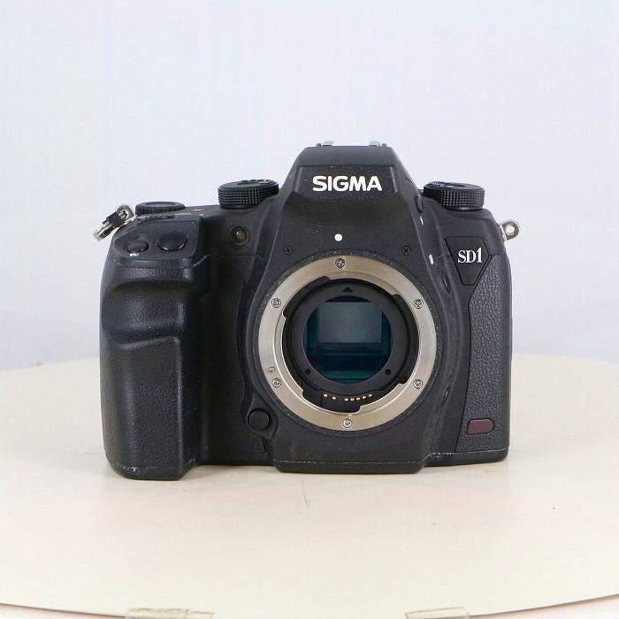 シグマ SIGMA SD1 MERRILL ボディ