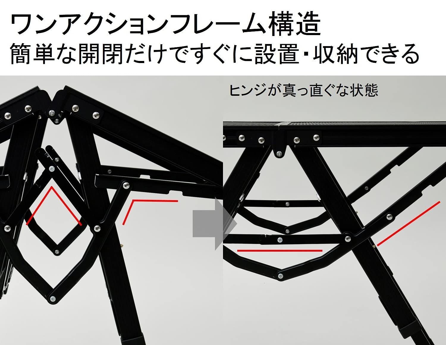 キャンパーズコレクション