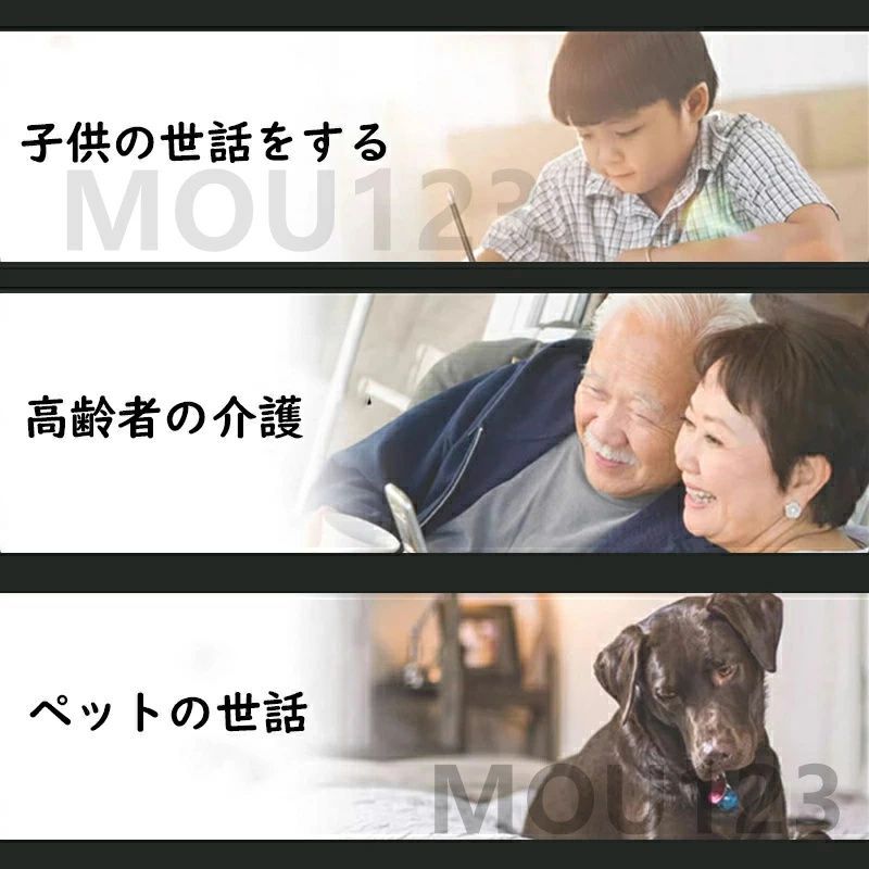 パンチルト 電池式